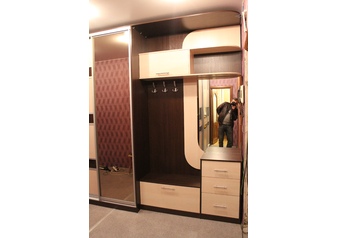 Шкаф-купе в прихожую с комбинированными дверьми и зеркалом